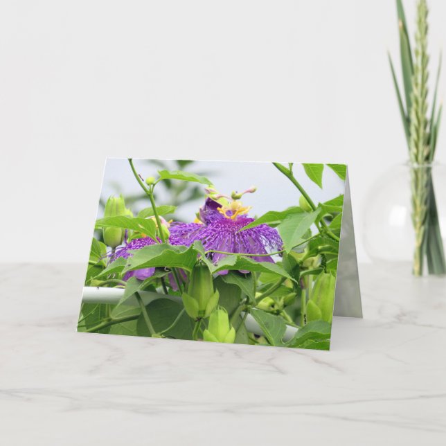 Passionvine Greeting Card (Front)