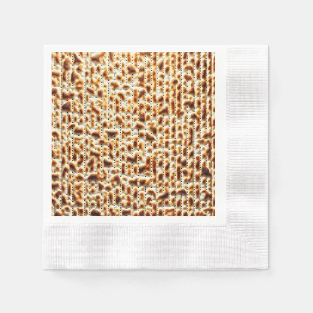 Passover Matzah decor Paper Plates Napkin (Front)