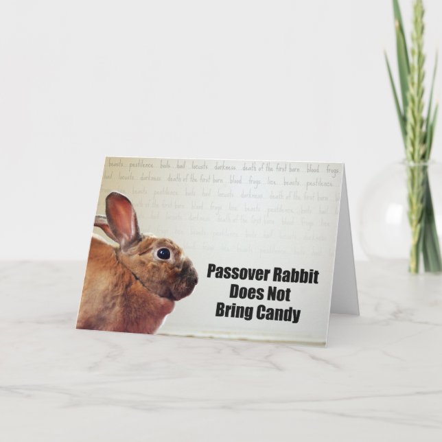 Passover Rabbit Does Not Bring Candy Card (Front)