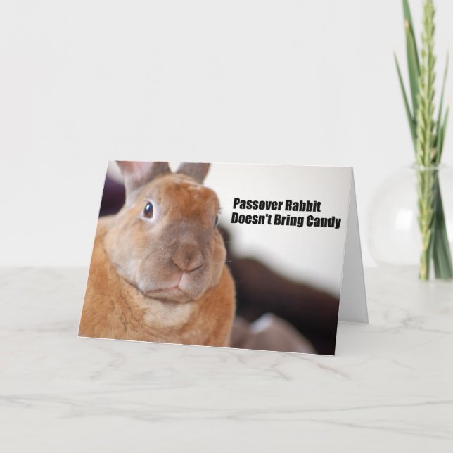 Passover Rabbit Says Card (Front)