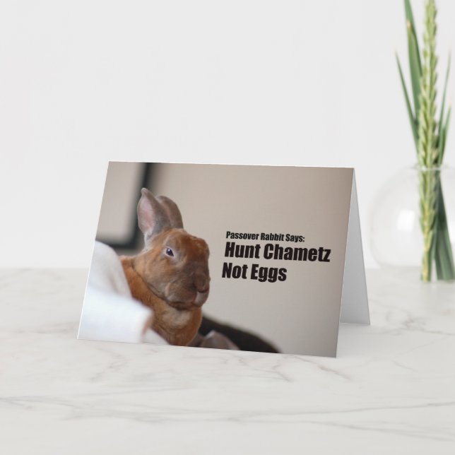 Passover Rabbit Says: Card (Front)