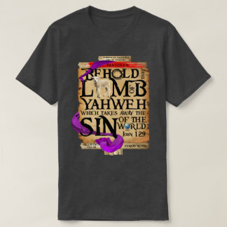 Passover T-shirt
