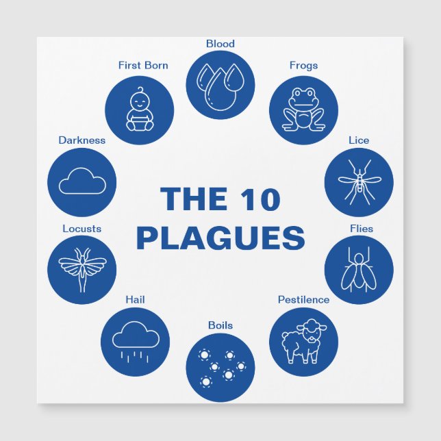 Passover The 10 Plagues Blue and White Seder (Front)