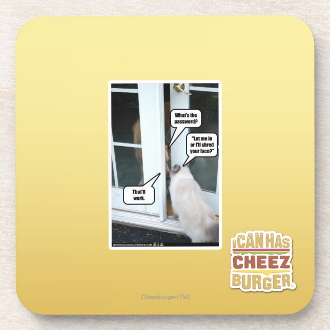 Password Please Coaster (Front)