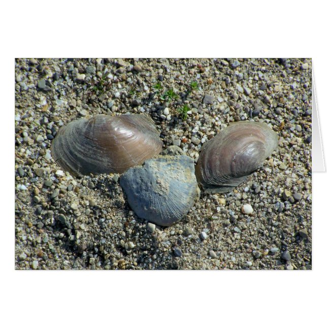 Past Meets Present (Front Horizontal)