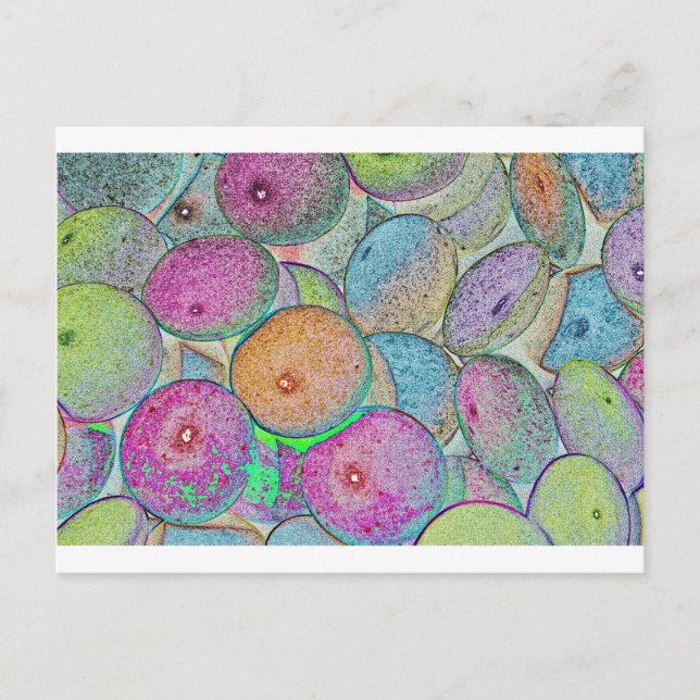 Pastal Art Postcard (Front)