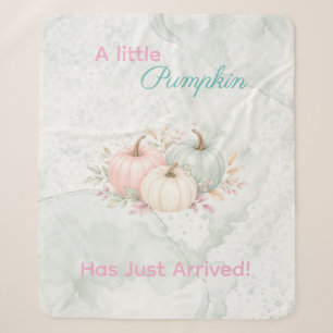 Pastel A Little Pumpkin Is On The Way Baby Shower Sherpa Blanket