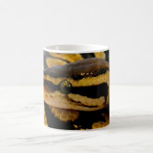 Pastel Ball Python Coffee Mug
