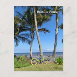 Pastel Bicycle ocean Florida Postcard