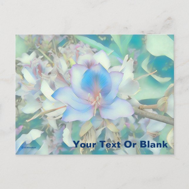 Pastel Blue Blossom Postcard (Front)