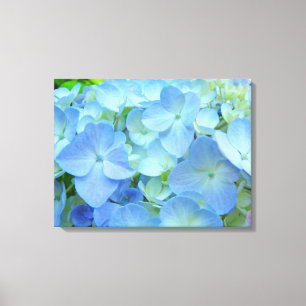 Pastel Blue Hydrangea Flowers art prints Floral