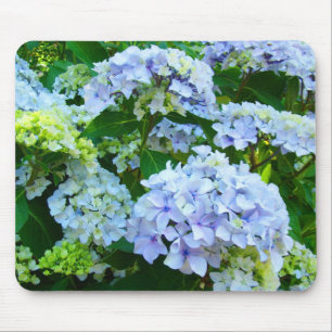 Pastel Blue Hydrangea Flowers Garden mousepad
