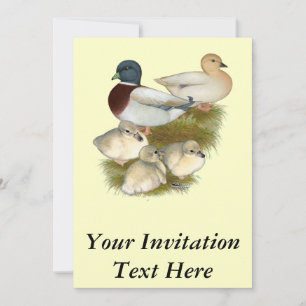 Pastel Call Duck Family Invitation