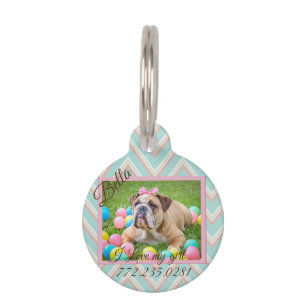 Pastel Chevron Dog Custom Photo   Pet Tag