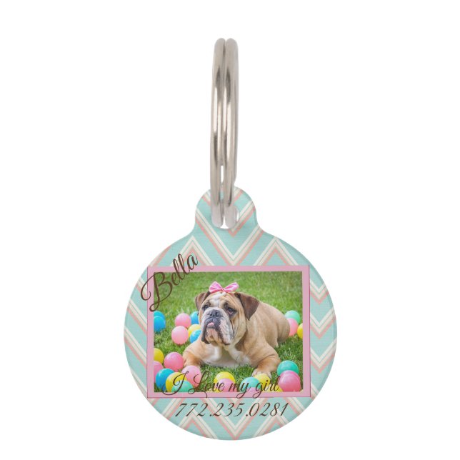 Pastel Chevron Dog Custom Photo   Pet Tag (Front)