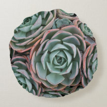 Pastel Coloured Succulent Plants Round Pillow