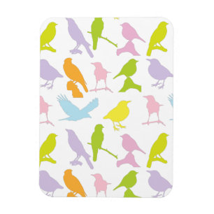 Pastel Coloured Variety of Birds Pattern Magnet