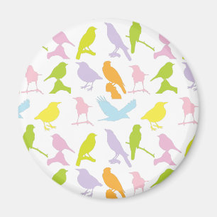 Pastel Coloured Variety of Birds Pattern Magnet