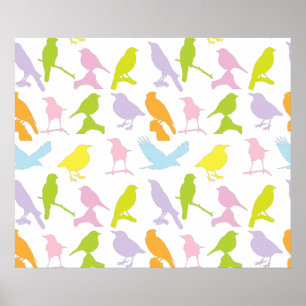 Pastel Coloured Variety of Birds Pattern Poster