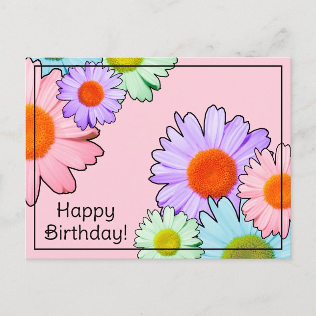 Pastel Daisies Happy Birthday Postcard (Front)