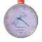 Pastel Dragonfly