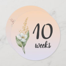 Pastel Floral 10-11 Weeks Pregnancy Milestone Card
