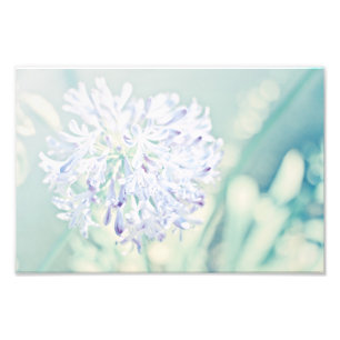 Pastel Flowers Photo Print
