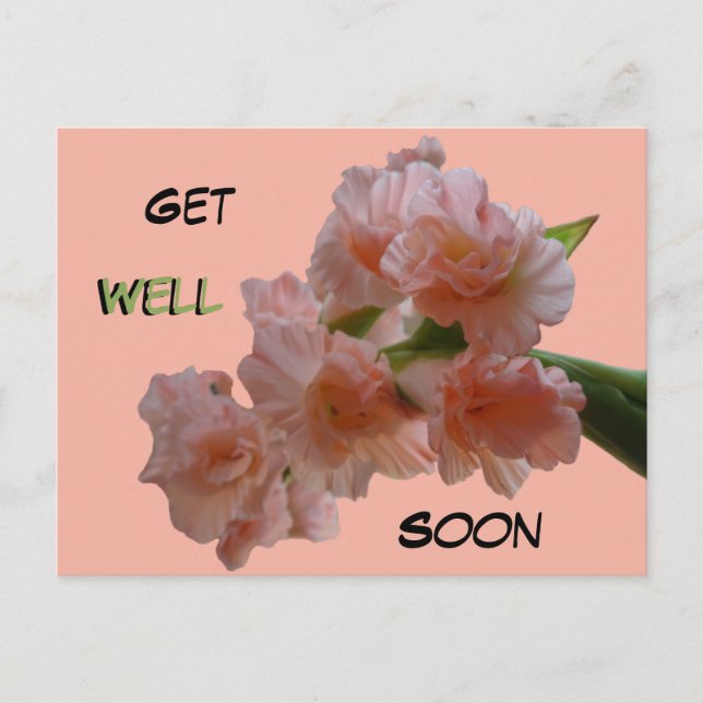 Pastel Gladioli Cust. Get Well Soon Postcard (Front)