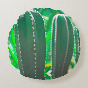 Pastel Green cactus plant leaves Round Cushion