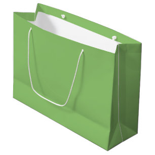 Pastel Green Large Gift Bag