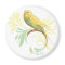 Pastel Green Parakeet