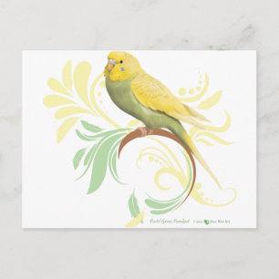 Pastel Green Parakeet Postcard