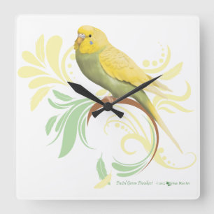 Pastel Green Parakeet Square Wall Clock