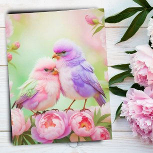  Pastel Harmony: Fluffy Songbirds Postcard