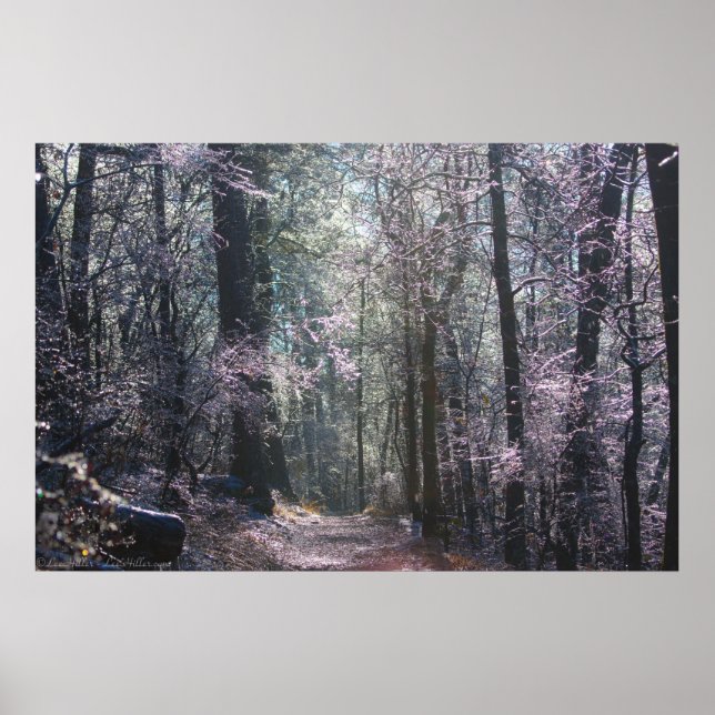 Pastel Ice Coated Forest Hot Springs Mt Trail Poster (Front)