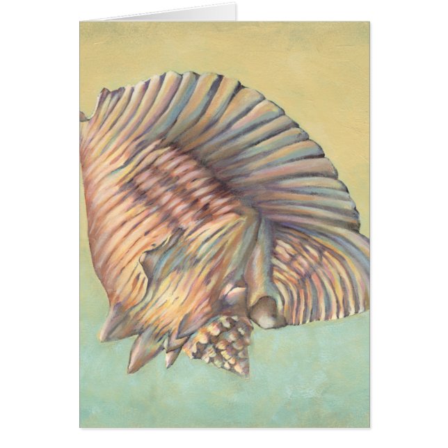 Pastel Large Conch Shell (Front)