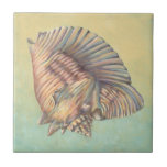 Pastel Large Conch Shell Ceramic Tile<br><div class="desc">Get this unique multi-coloured large Conch seashell image on your next product. This amazing,  cocoa background these two unique seashells. Take the beach with you everywhere you go and imagine the soft ocean breeze.</div>
