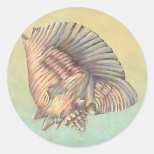 Pastel Large Conch Shell Classic Round Sticker