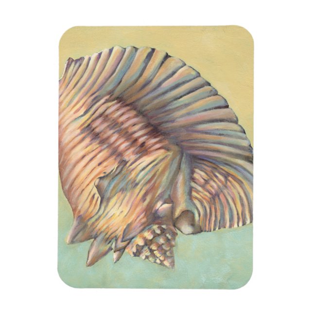 Pastel Large Conch Shell Magnet (Vertical)