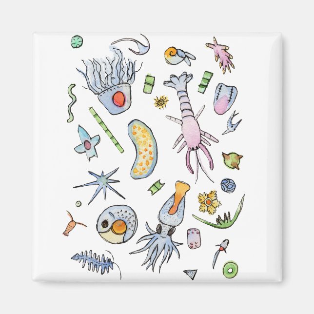 Pastel Marine Plankton in Watercolor Magnet (Front)
