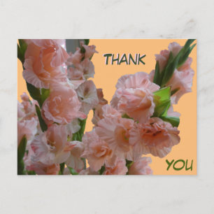 Pastel Orange Pink Gladioli Thank You Postcard
