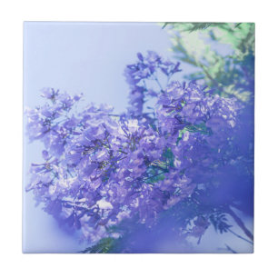 Pastel Pale Purple Jacaranda Tree Flowers Ceramic Tile