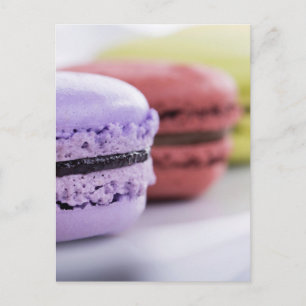 Pastel Pastry Chef French Macaron Postcard