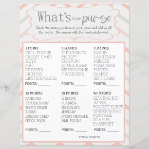 Pastel Peach and Grey Zig Zag Whats In Your Purse