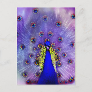 Pastel Peacock Blue Bird Postcard