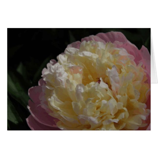 Pastel Petals (Front Horizontal)