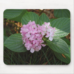 Pastel Petals Mouse Pad