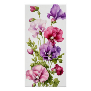 Pastel Petals: Stylised Sweet Pea Blossom Poster