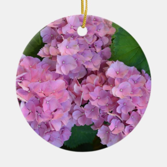 Pastel pink Hortensia hydrangea bloom  Ceramic Ornament (Front)