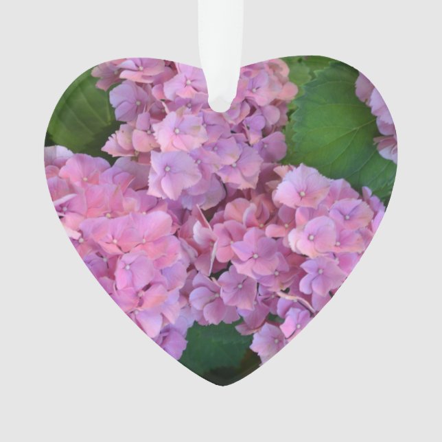 Pastel pink Hortensia hydrangea bloom   Ornament (Front)